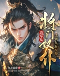 边境将军小说