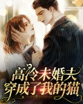 我的高冷未婚妻小说在线阅读