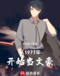从1977年开始当文豪的小说