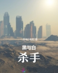 黑与白小说主角