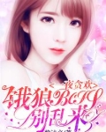 一夜狼11人