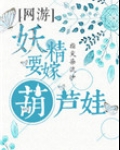 《妖精》小说