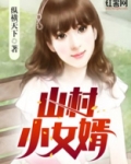 山村小女婿下载