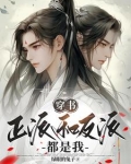 穿书主角和反派都是我作者绿眼睛的兔子