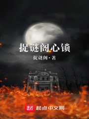 捉谜阁心锁