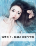 娇妻至上:隐婚老公霸气宠爱全文阅读