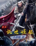 明末乱世崛起王毅免费阅读
