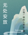 无处安放歌词