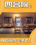 四合院:开局获得一象之力