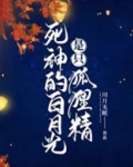 死神白梨完结文