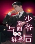 京圈小少爷
