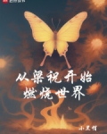 从梁祝开始燃烧世界笔趣阁
