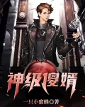神级傻婿/一只小蜜蜂