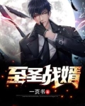 至圣战婿 麟激