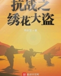 抗战之绣花大盗