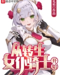 从转生女仆骑士开始