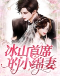 首席小说