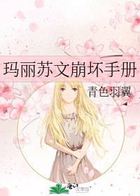 玛丽苏文崩坏手册