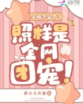 二婚又如何小说