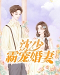 沈少霸爱