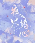 夜火婚心全本免费阅读