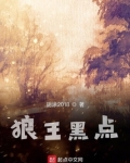 狼王黑点主要讲了什么
