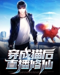 穿成猫后靠玄学爆红书包网