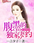 腹黑总裁虐妻小说