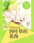 TFBOYS之四叶草的花海