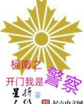 柯南之开门我是警察