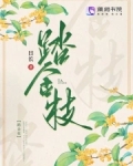 踏金枝小说梦仙游