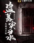 盗墓实录从被卖开始