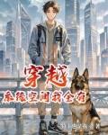 穿越系统空间小说