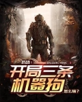 抗战开局一个机械化师