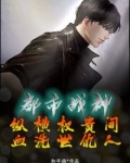 小说都市纵横全文阅读