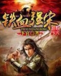 铁血强宋