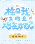 快穿:栓Q!我真的是炮灰女配TXT
