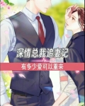 情深缘深总裁追妻路漫漫