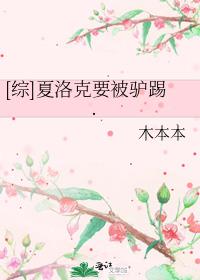 [综]夏洛克要被驴踢 小说