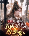 大唐最驸马