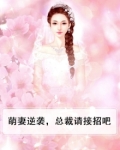 萌妻来袭总裁请签收全文免费阅读