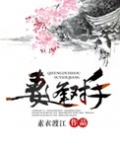妻逢对手