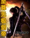 至尊无极剑帝小说