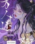 万人迷穿书小说