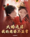 第一章大婚之日
