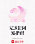 无逻辑是什么意思
