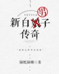 新白男子传奇