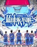 篮球永不眠小说