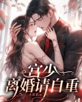 宫少追妻请低调免费阅读