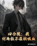 四合院我何雨柱国之栋梁